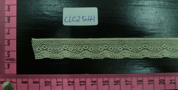 CLC2541