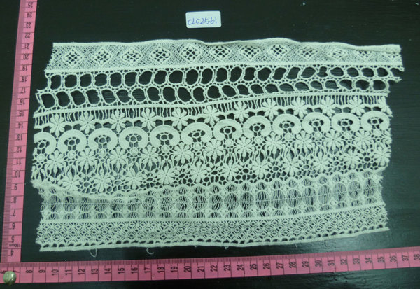 CLC2561