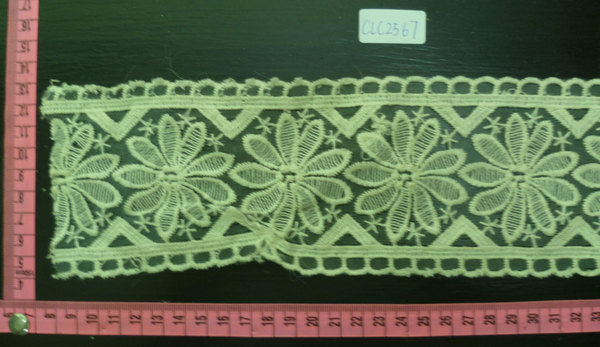 CLC2567