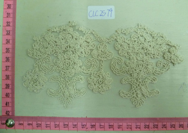 CLC2579
