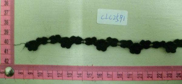 CLC2591