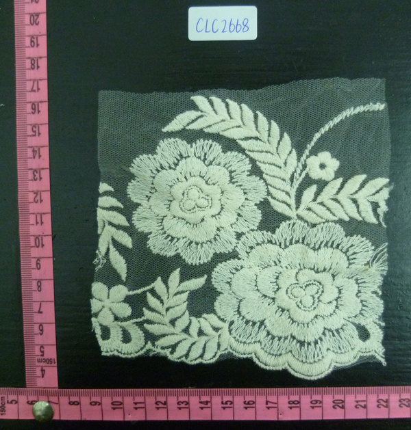 CLC2668