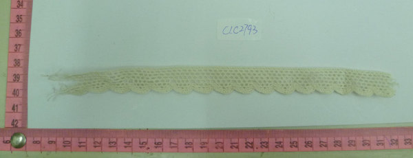 CLC2793