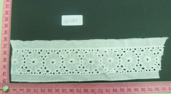 CLC2811