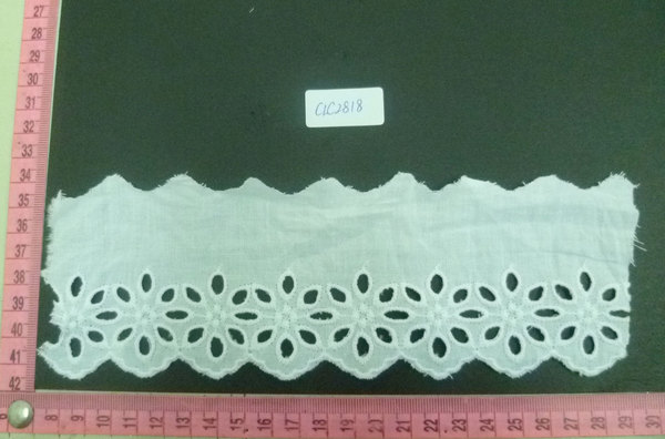 CLC2818