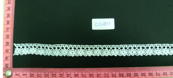 CLC2831