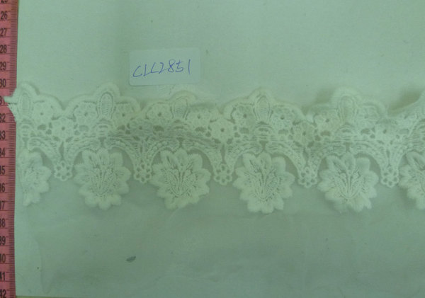 CLC2851