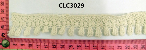 CLC3029