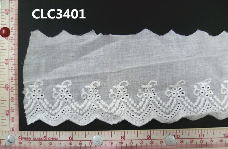 CLC3401