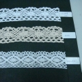 CLC0119-0120