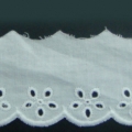 CLC0161
