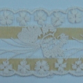 CLC0232
