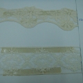 CLC0262-0263