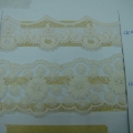 CLC0299-0300