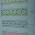 CLC0359