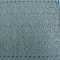 CLC0411