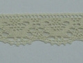 CLC0489