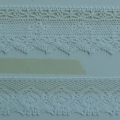 CLC0495