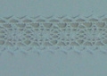 CLC0501