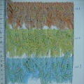 CLC0524-