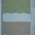 CLC0538-