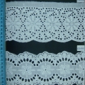 CLC0538-0539-