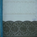 CLC0538