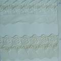 CLC0695-0696