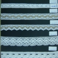 CLC0724-0729