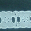 CLC0811