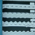 CLC0829-0833