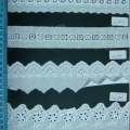 CLC0839-0842
