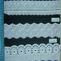 CLC0849-0851