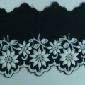 CLC0919