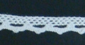 CLC1103