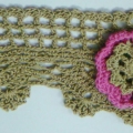 CLC1116