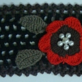 CLC1119