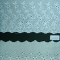 CLC1657-1658