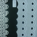 CLC1756-1757