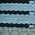 CLC1860-1863