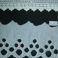 CLC1964-1965