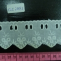 CLC2481