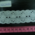 CLC2484