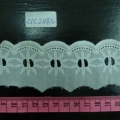 CLC2485