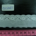 CLC2487
