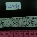 CLC2494