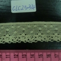 CLC2534