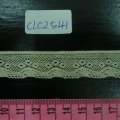 CLC2541