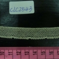CLC2543
