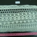 CLC2561
